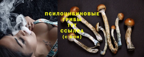 МДПВ Алзамай