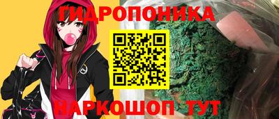 ешки Новозыбков