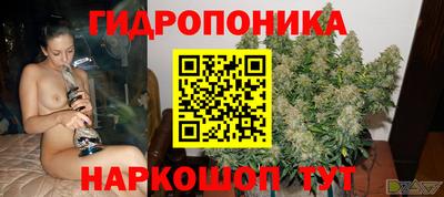ешки Новозыбков