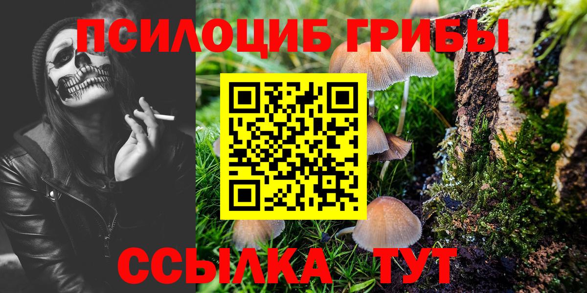 Псилоцибиновые грибы прущие грибы  Галлюциногенные грибы прущие грибы  Тайшет  Вход с VPN 