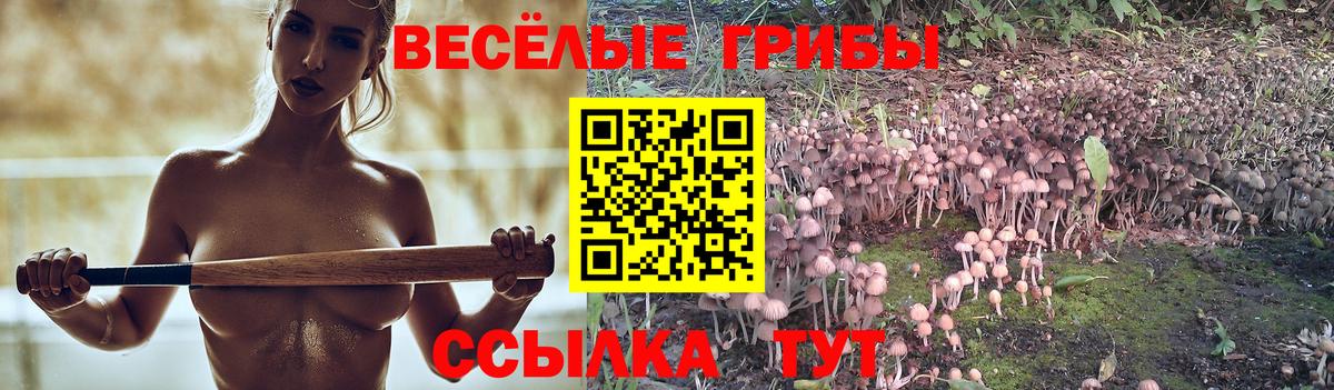 Галлюциногенные грибы MAGIC MUSHROOMS Тайшет