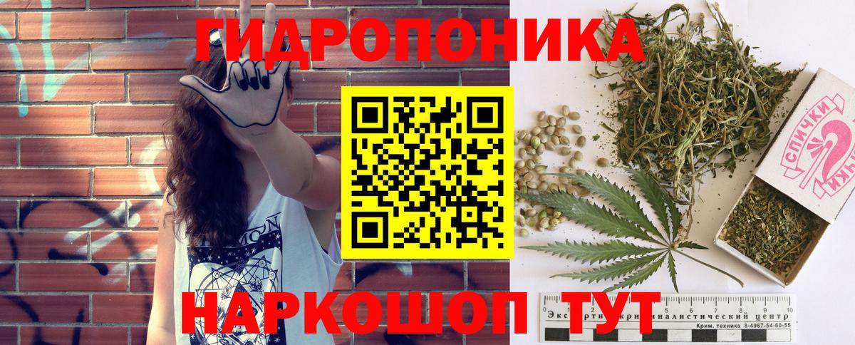 Бошки марихуана план Тайшет